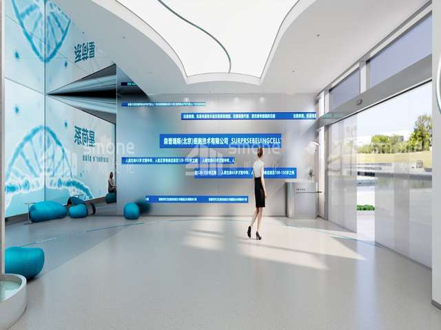 普陀外资公司注册流程